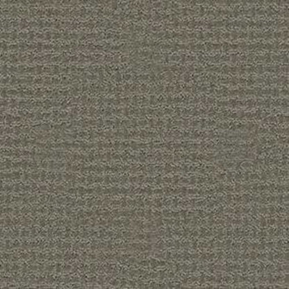 Bold Attitude in Gun Metal Carpet