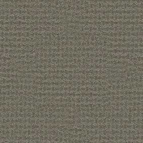 Bold Attitude in Gun Metal Carpet