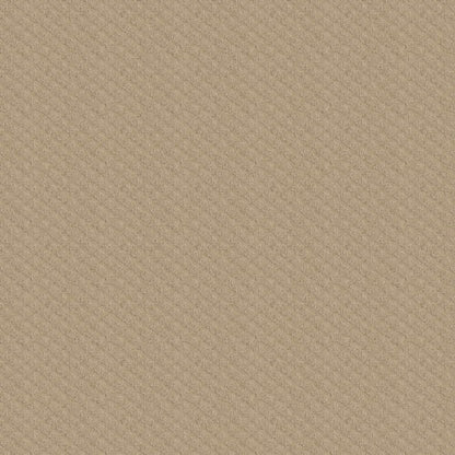 Stay Strong in Cameo Carpet