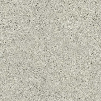 Vacation Day in Silverstone Carpet