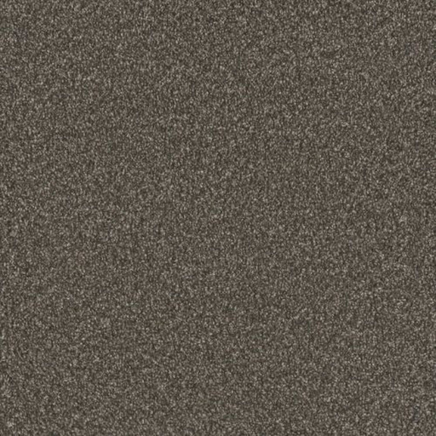 NO LIMITS II in Lava Clay Carpet