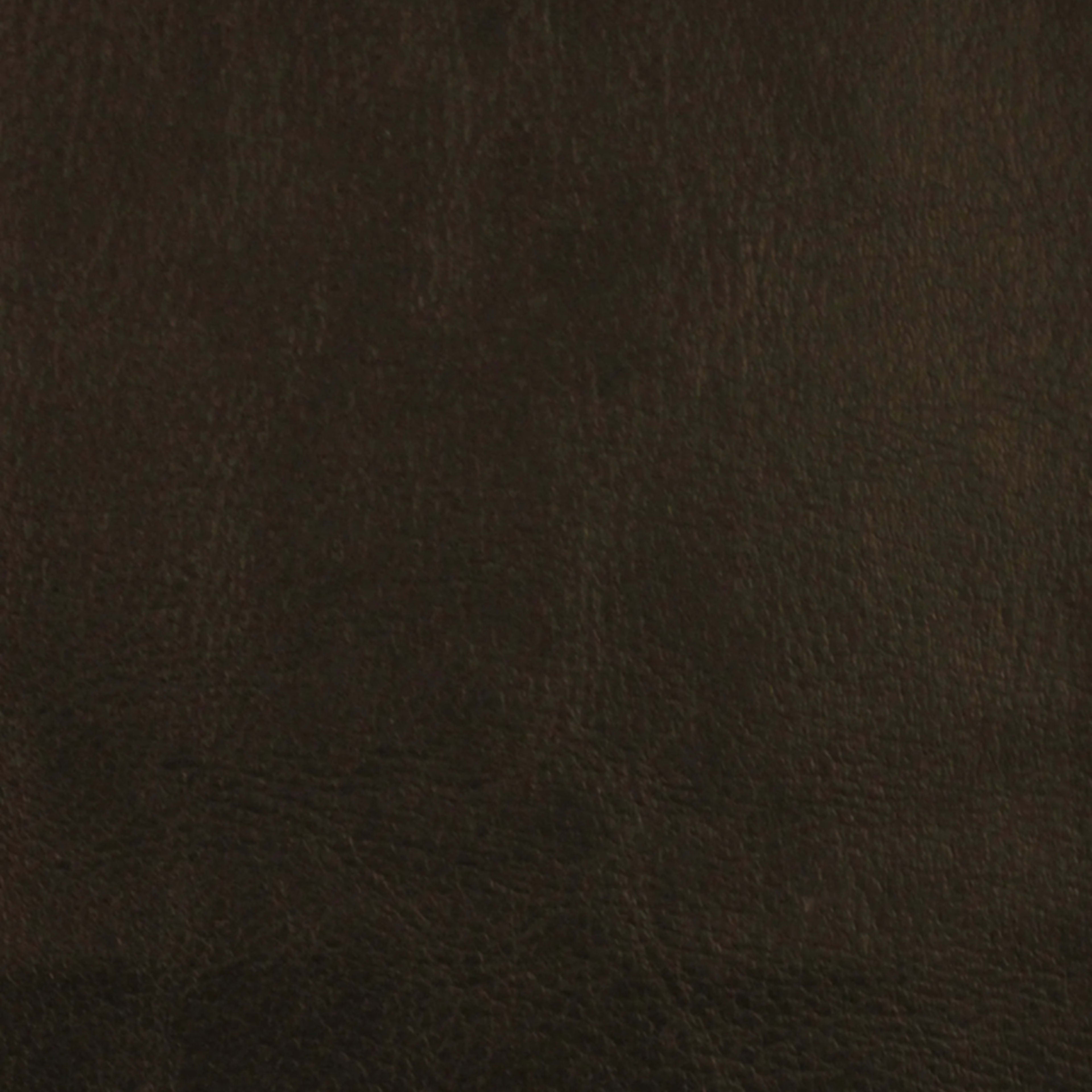 Leather Essence in Midnight Carpet