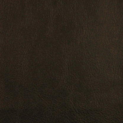Leather Essence in Midnight Carpet