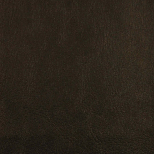 Leather Essence in Midnight Carpet