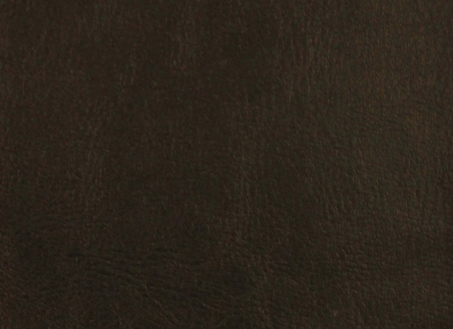 Leather Essence