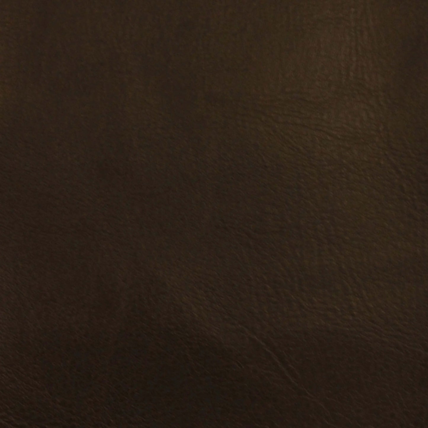 Leather Essence