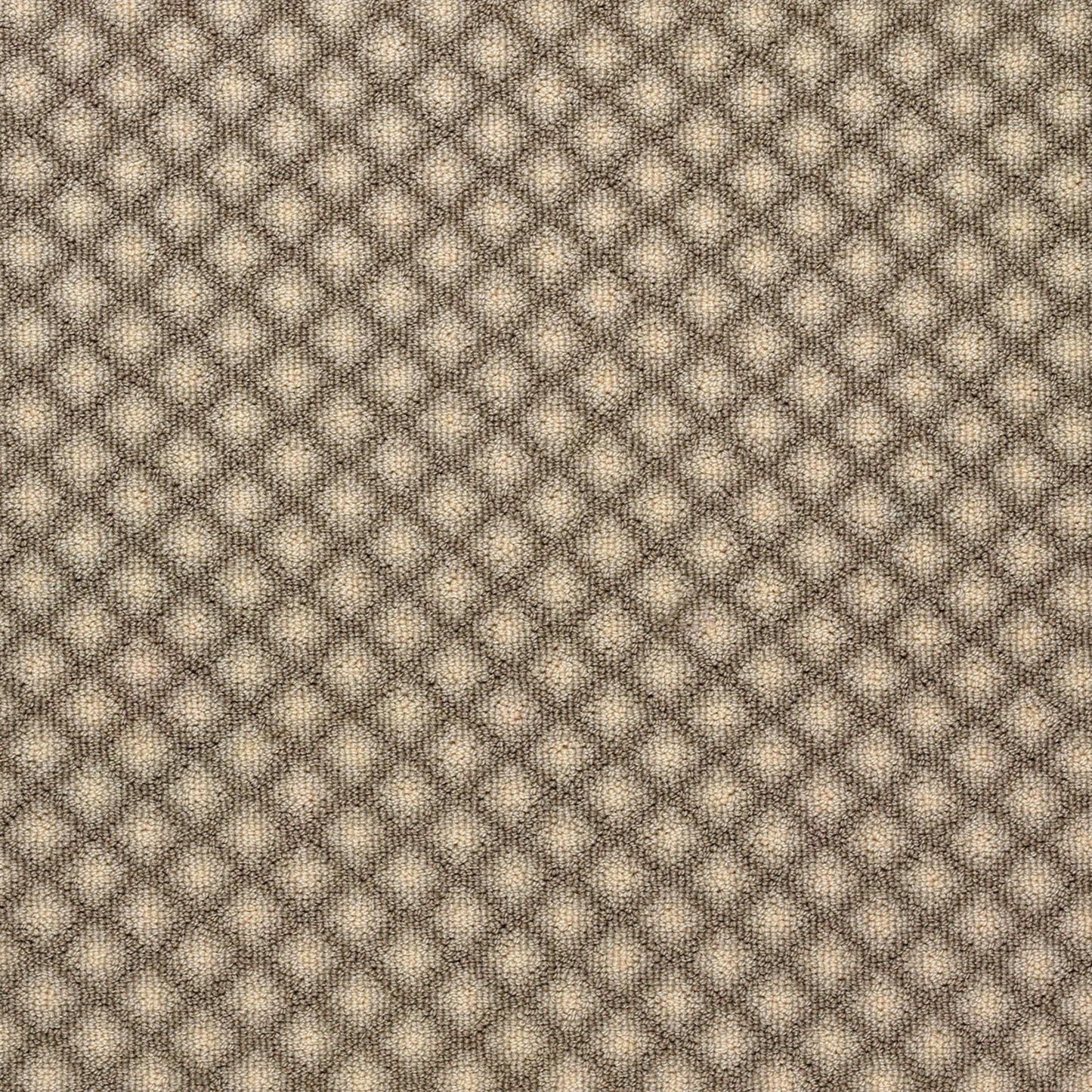 Matisse in Quicksilver Carpet