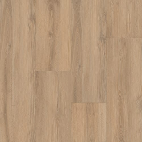 Prime XL 12 Collection