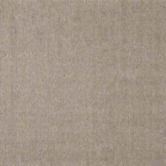 Sheer Luxury in Stone Carpet