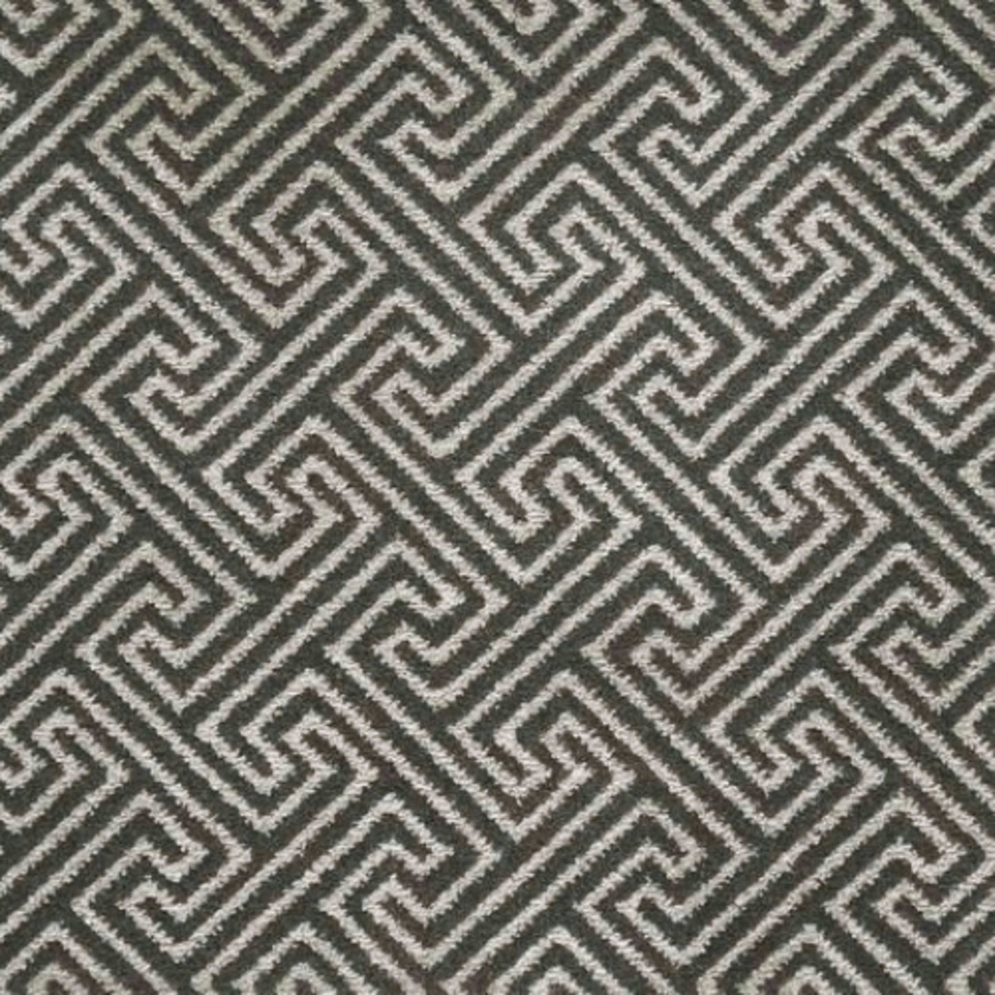 Starlight Reflection in Graphite Carpet