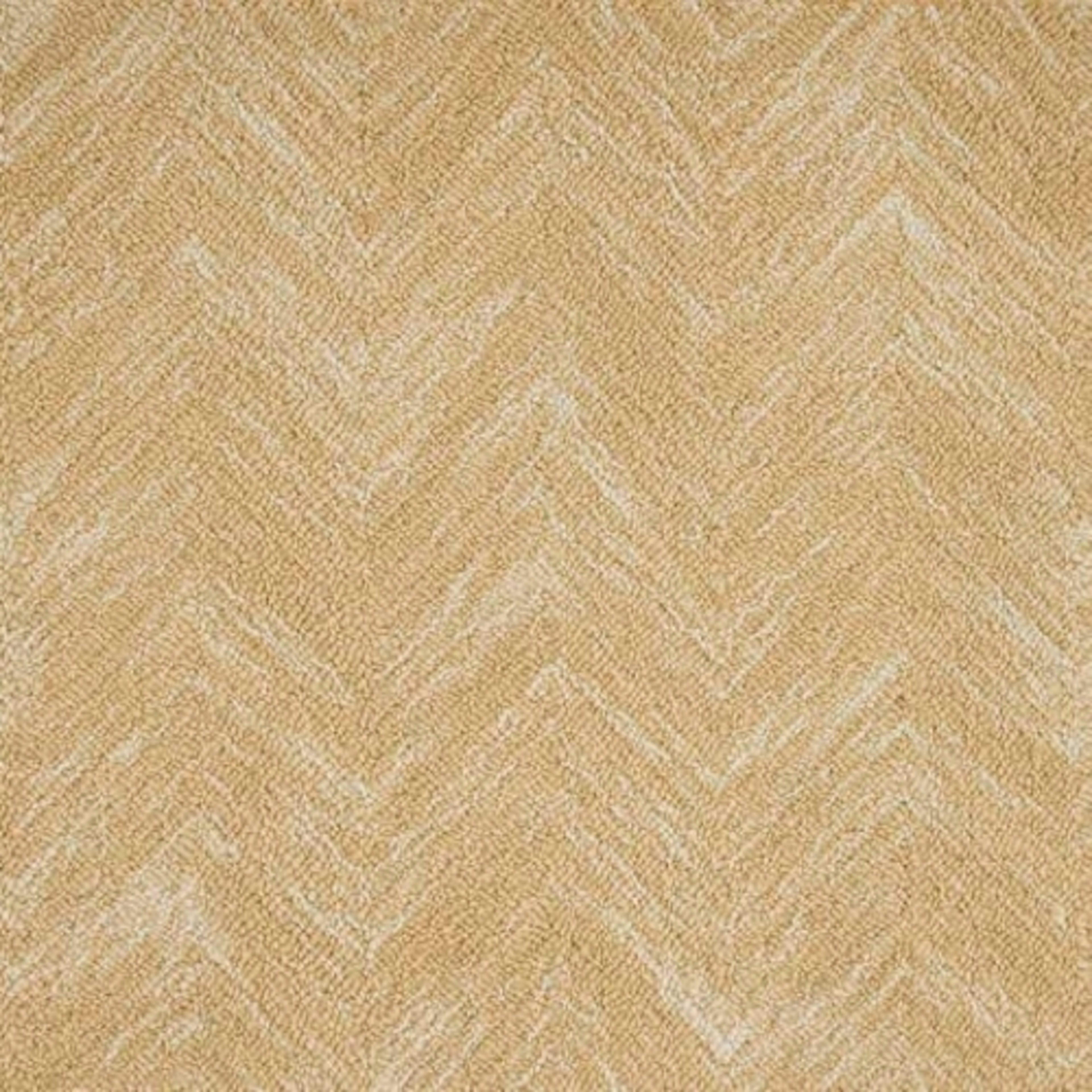 Terraza in Sundrop Carpet