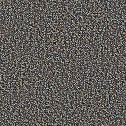 PRIVILEGED 28 in Granite Carpet
