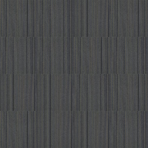 JAZZED in Jolted Carpet