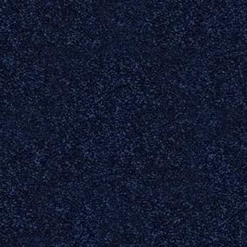 Knockout II 12' in Sail Boat Carpet