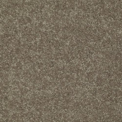 Knockout II 15' in Sequoia Carpet