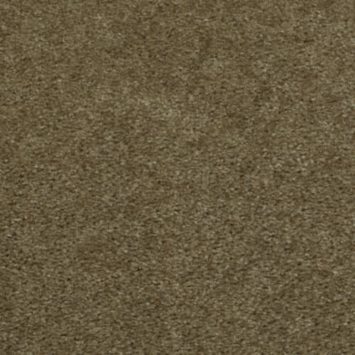 Zipp in Yalta Carpet