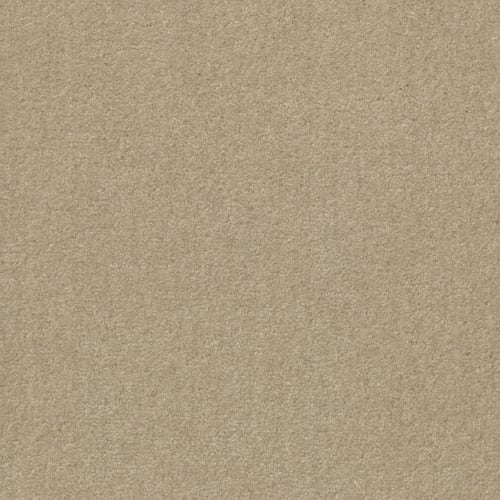 Banning in Putty Carpet