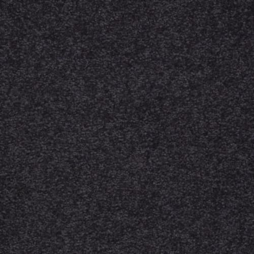 Sandy Hollow II 12' in Graphite Carpet