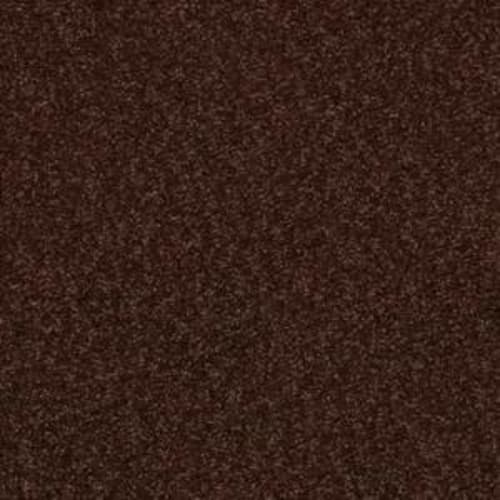 Great Effect I 12' in Coffee Bean Carpet