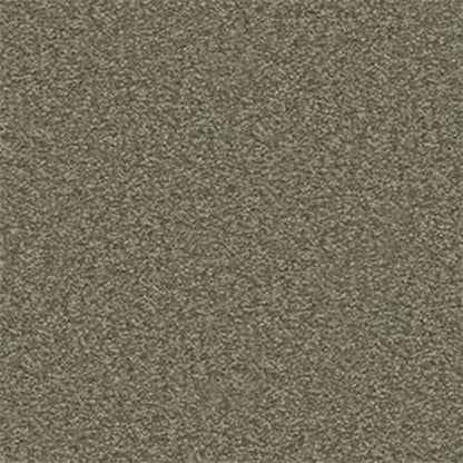 Bright Spirit II 15'