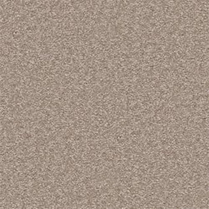 Bright Spirit II 15' in Chinchilla Carpet