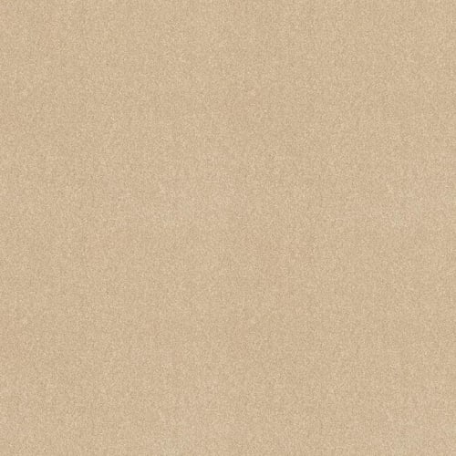 Bright Spirit III 12' in Almond Flake Carpet