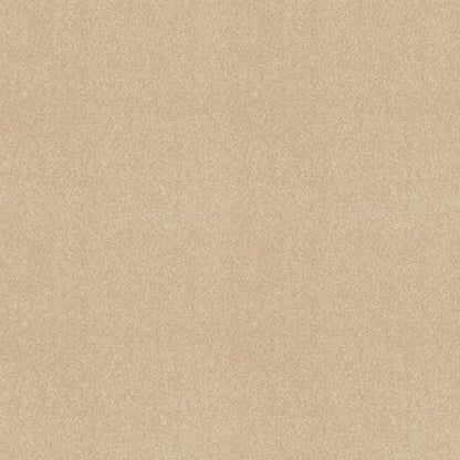 Bright Spirit III 12' in Almond Flake Carpet
