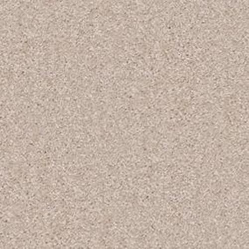 Modern Element in Old Ivory Carpet