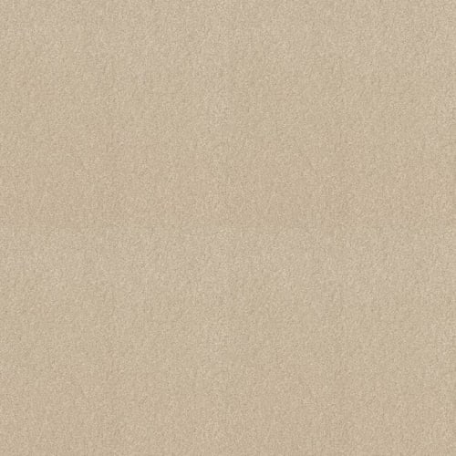 Sweet Valley III 12'