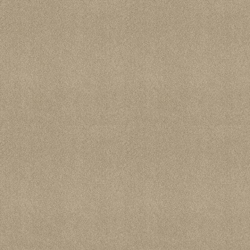 Sweet Valley III 12'