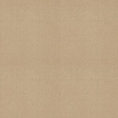 Sweet Valley III 12'