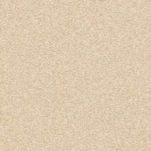 Sweet Valley III 12'