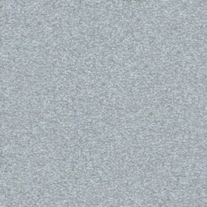Sweet Valley III 12' in Seascape Carpet