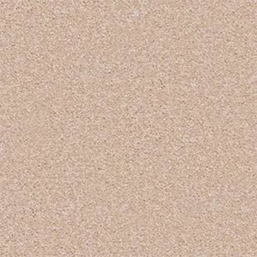 Park Manor 15' in Stucco Carpet