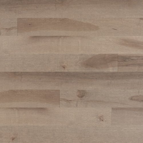 Admiration Engineered - Maple