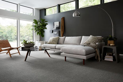 Delicate Path in Overcast Carpet