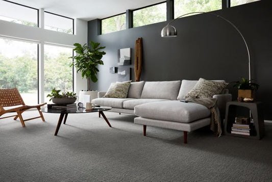 Delicate Path in Overcast Carpet