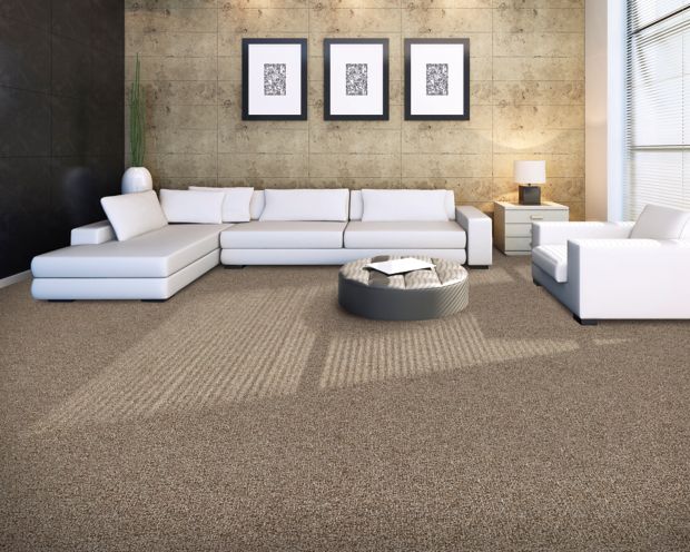 Peaceful Quality in Pristine Carpet