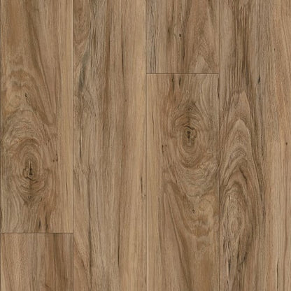 Bowman II in Seaside Sparrow Pine