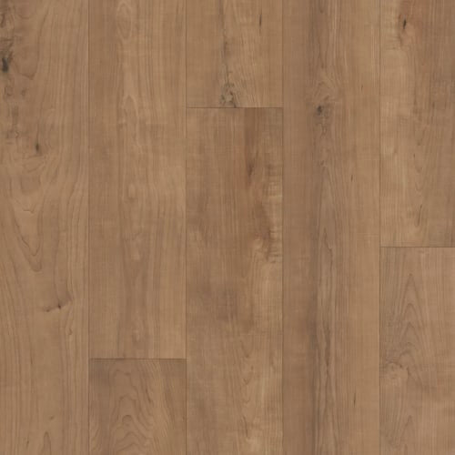 Restoration Collection - Harmony