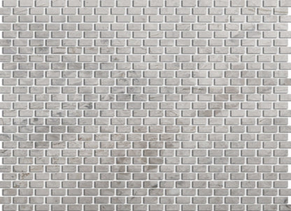 Marble Silver Collection in Silver Polished 12" X 12"