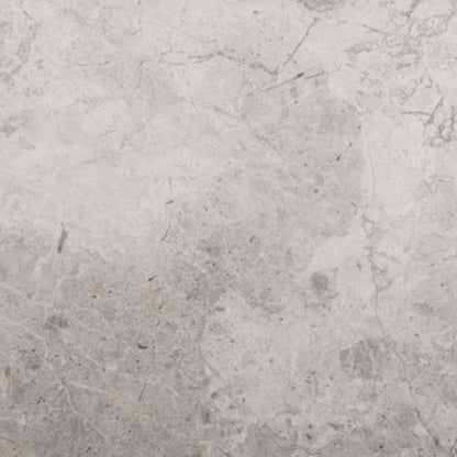 Marble Silver Collection in Silver Polished 12" X 12" Natural Stone