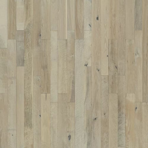 Organic Solid Collection