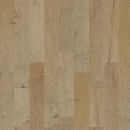 Yukon Maple 6 3/8 in Gold Dust