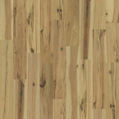 REFLECTIONS HICKORY in Luminous