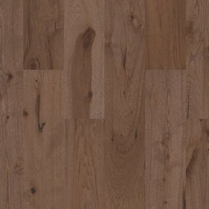 REFLECTIONS HICKORY in Radiance