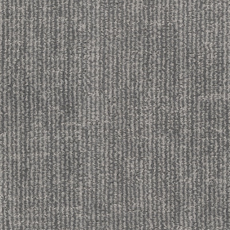 Tabby