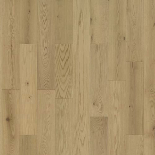 Serenity