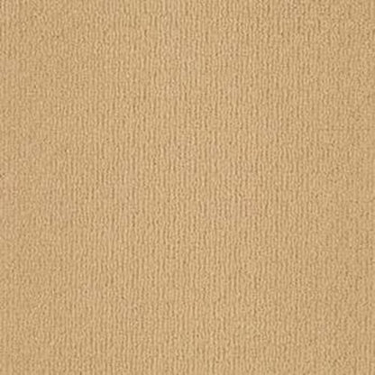 Value Loop in 224 Carpet