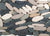 Venetian Pebbles in Multi Color 12" X 12" Flat Pebbles